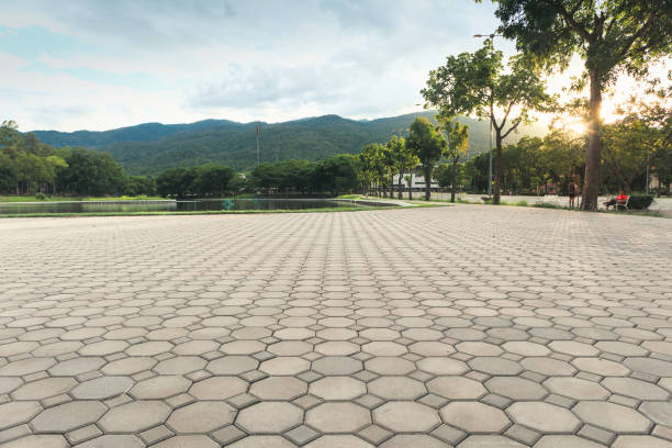 Best Local Driveway Pavers  in Langhorne, PA
